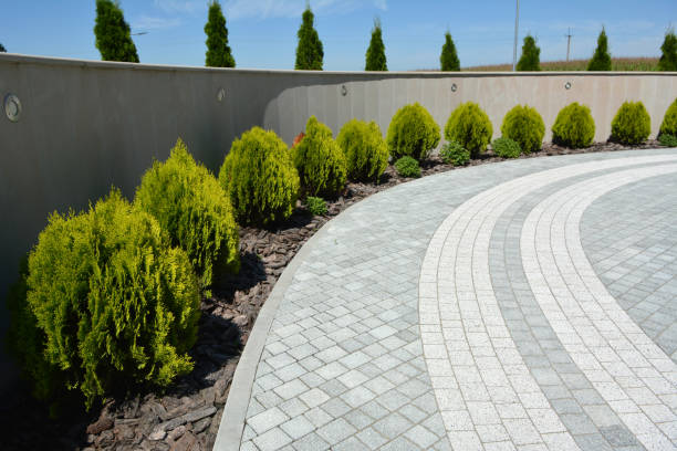 Best Driveway Paving Company  in Ben Wheeler, TX